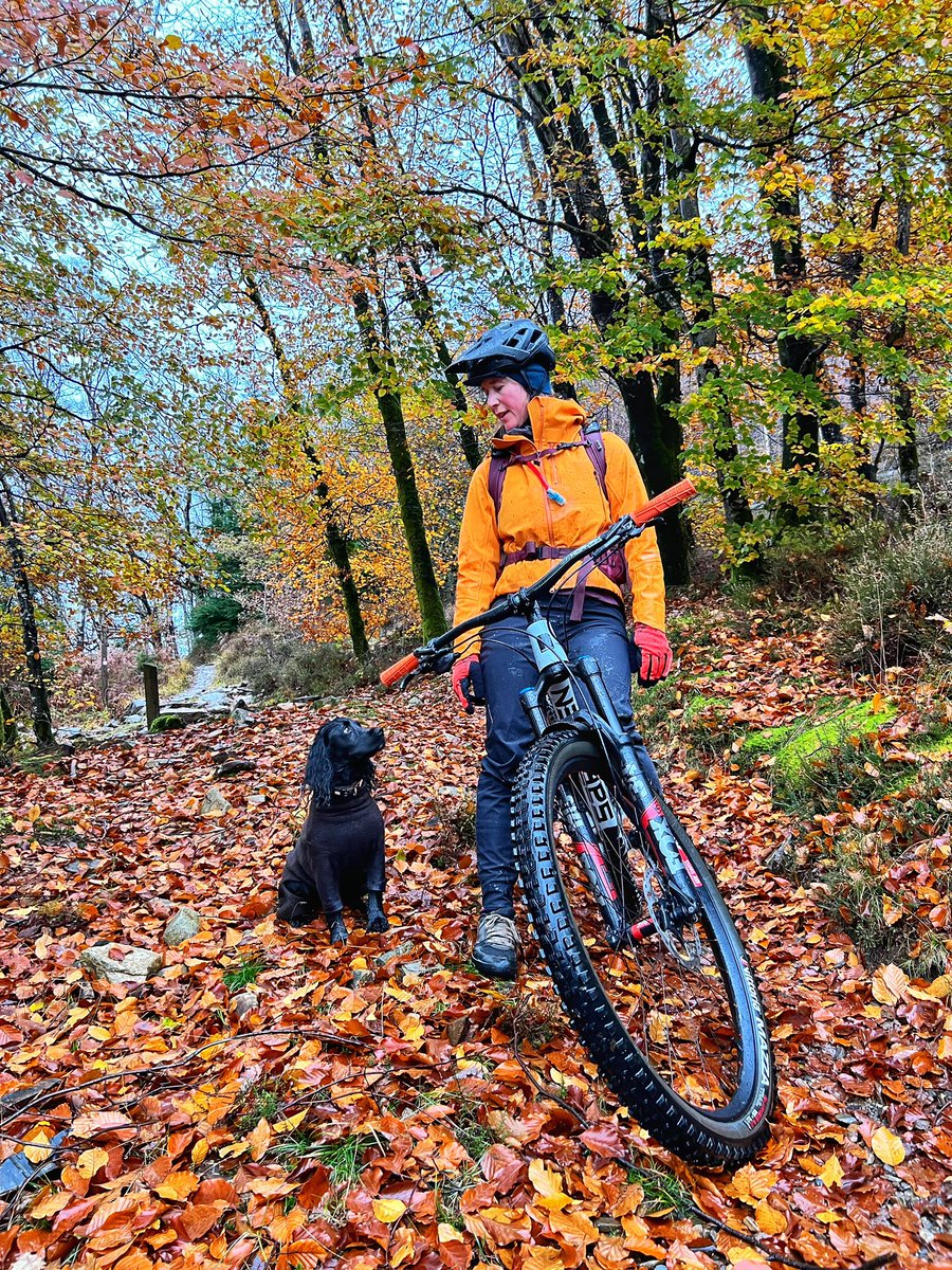 mtbcymru's tweet photo. A very wet and wild day in the woods, good job we packed our new DTE kit from @MadisonClothing 👌🏻 #mtb #wales #defytheelements #justride https://t.co/9nwLKrBtyi