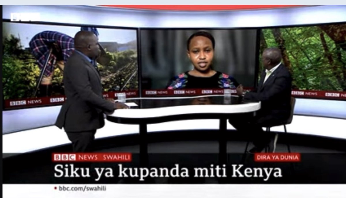 On the #NationalTreePlantingDay Kenya🇰🇪 , I spoke to BBC, I highlighted how much important is to include young people in greening activities. 

I also mentioned that we, youth2youth need to take urgent actions now. 

#SADCYouth!