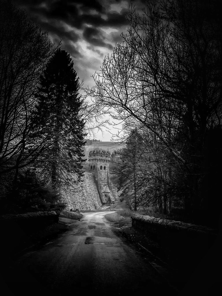 MLeah's tweet photo. "Dusting off the haunting beauty of this photo from years ago—still feels like a scene straight out of Bram Stoker's world. #darkpeak #peakdistrict #TimelessCaptures #BramStokerInspired #PhotographyMagic" https://t.co/pqveTMriLt