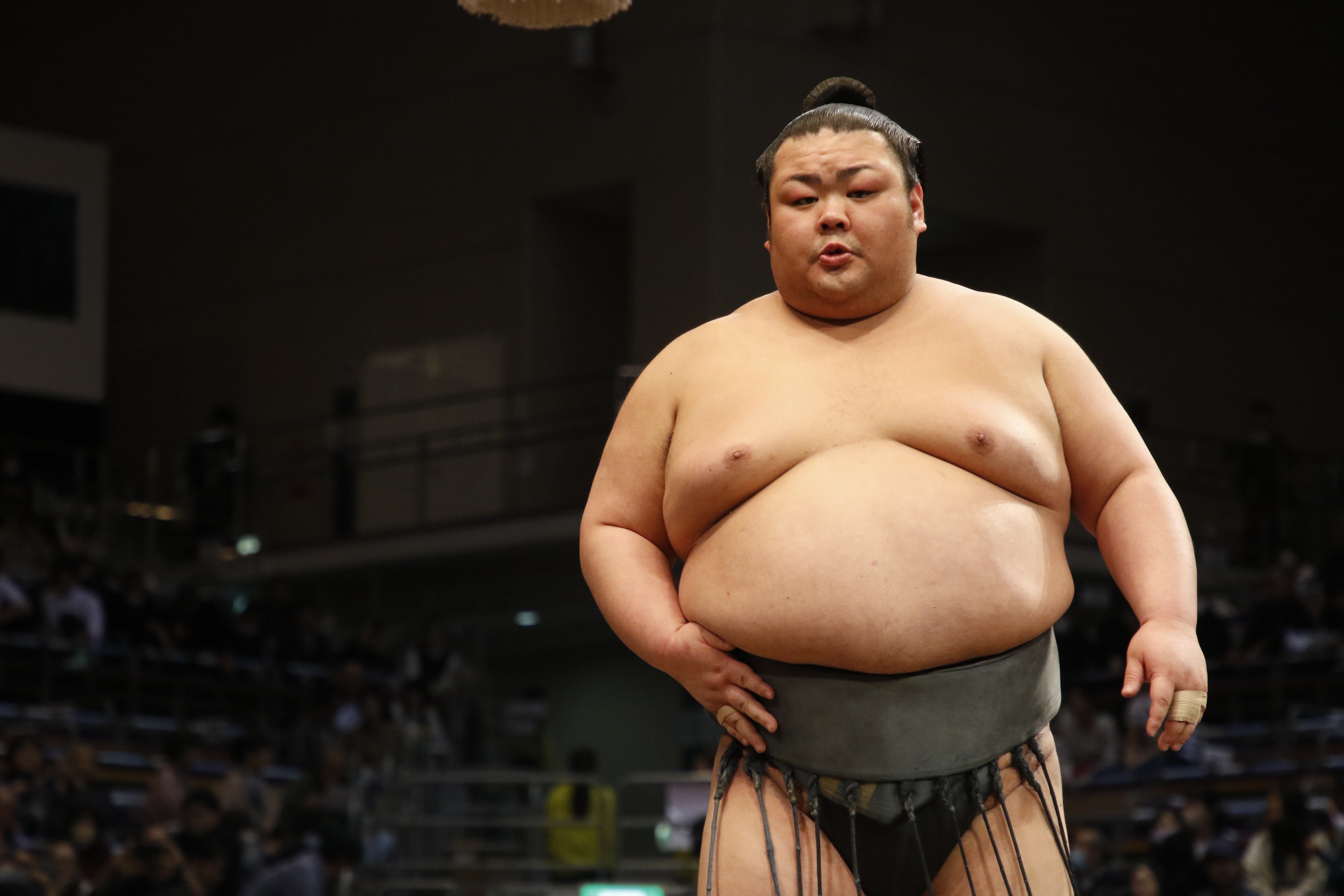 日本相撲協会公式 on X: 日本相撲協会公式 on X: