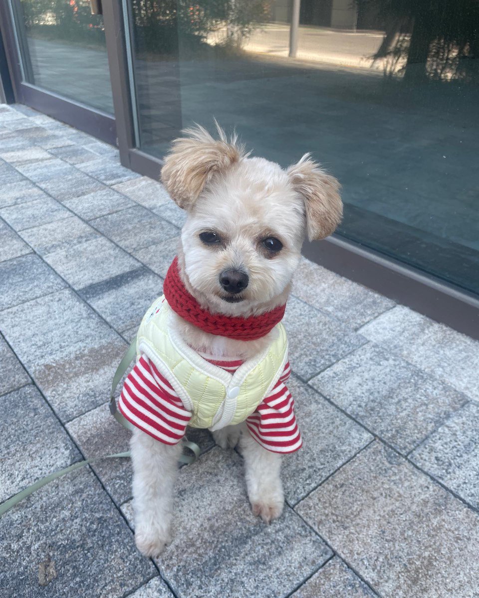 금비 아카이브 tweet media