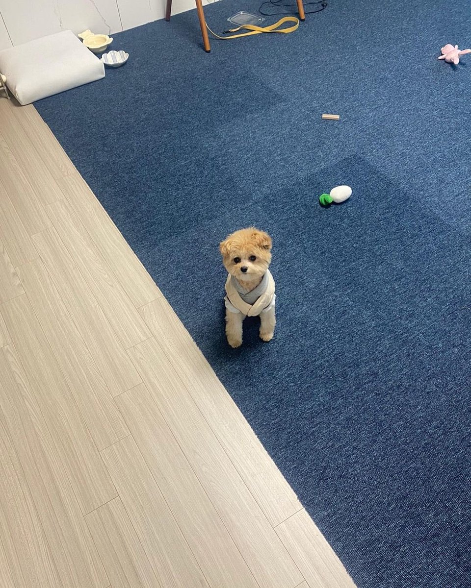 금비 아카이브 tweet media