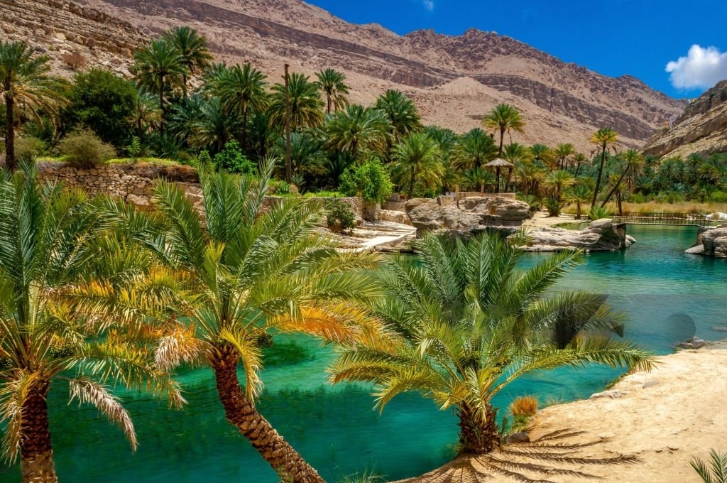 JobIbex's tweet image. Jobs in Oman on 14/11/2023

jobibex.com/jobs-in-oman-3/

#Oman #مجلس_عمان