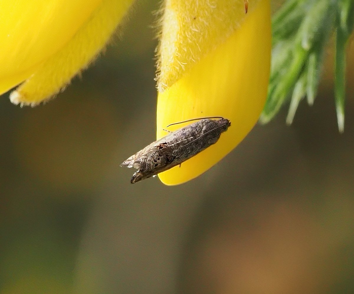 Steve Babbs tweet media