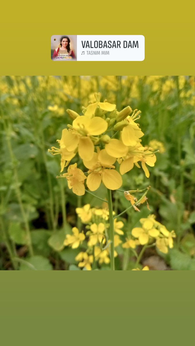 taskiy2's tweet image. 