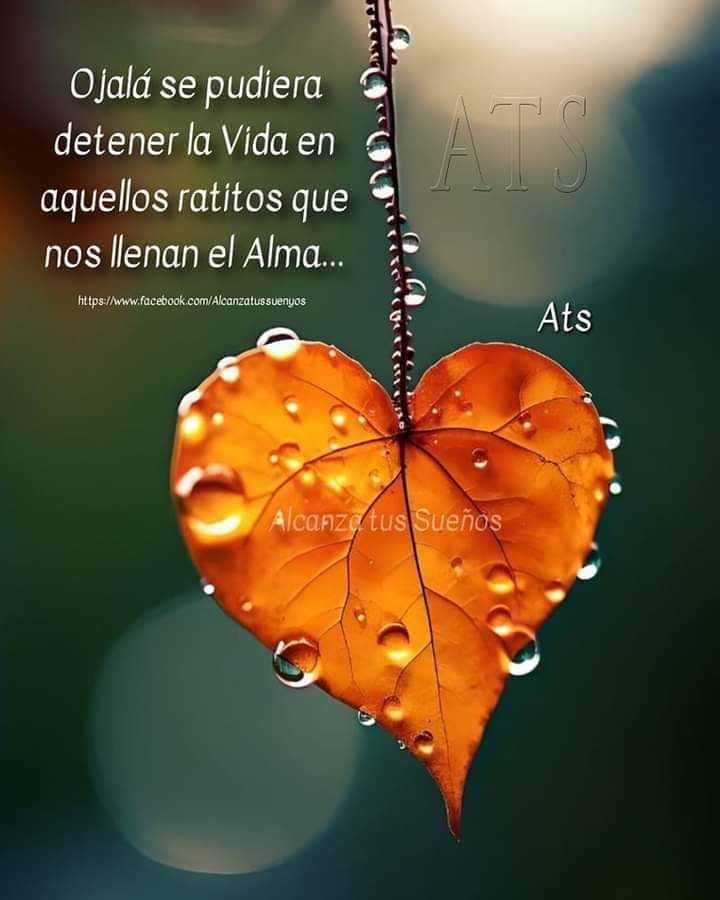 VidaEquilibrad4's tweet photo. https://t.co/9q5vaqKCYL