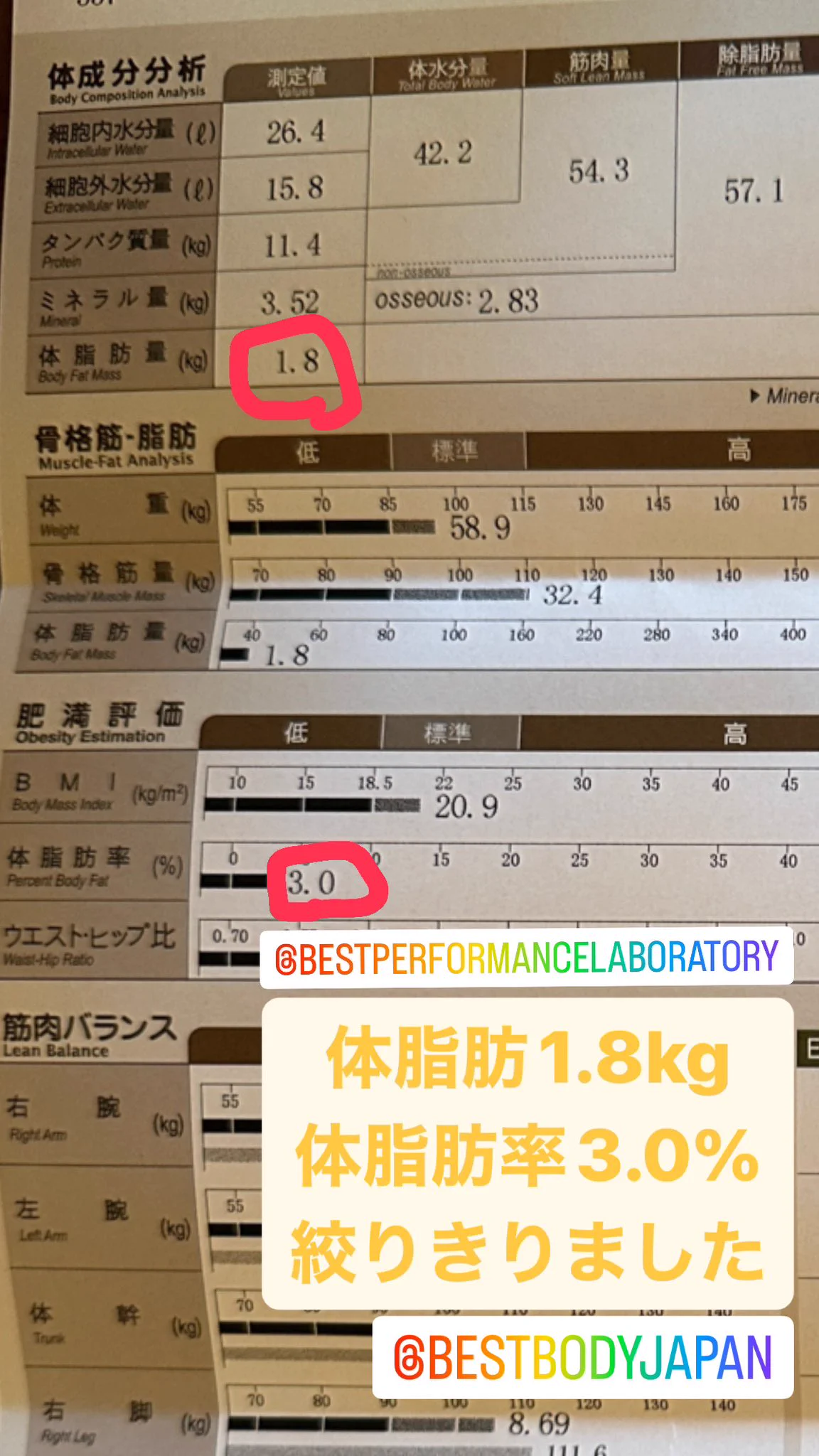 活動歴および当時の関連ビジュアル記録