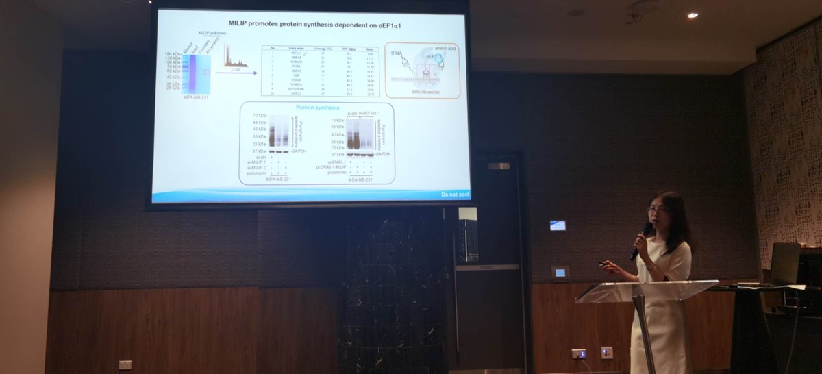 NoncodingG's tweet image. Presentations from our group members at the 2023 Australian Association of Chinese Biomedical Scientists Annual Meeting. Huge congrats to our PhD student, Ran Xu, for his best oral presentation award. Well deserved👏@xudongzhang15 @LeiJin83480165