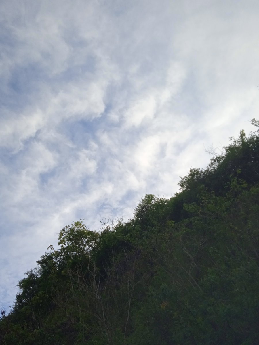 CharlyMoom's tweet photo. Que bonito es agradecer. ✍️ https://t.co/0bWrTLAh3Y