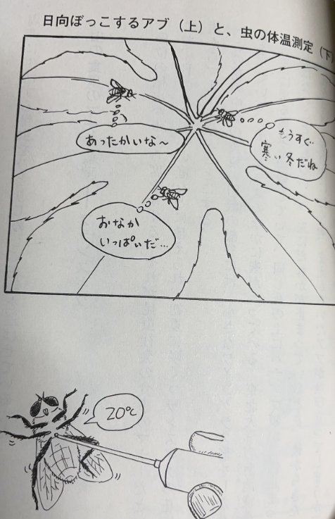 äœããçµµãã«ã¯ã€ã€ãã ïœ
çµµãã説æããæ¬äººåãããã»ãªãããªããšãèšãã坿ã