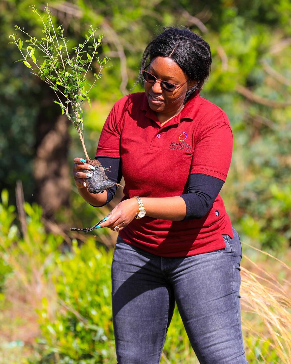 JudithMbogo's tweet photo. I contributed to the #jazamiti obligation together with the @EnergyMinK and its parastatals at Ontulili Forest in Meru County, during the National Tree Planting day. 

By being part of this cause, I hope to inspire others to join and help conserve and safeguard our Mother Nature. https://t.co/7dl9uvL5eW