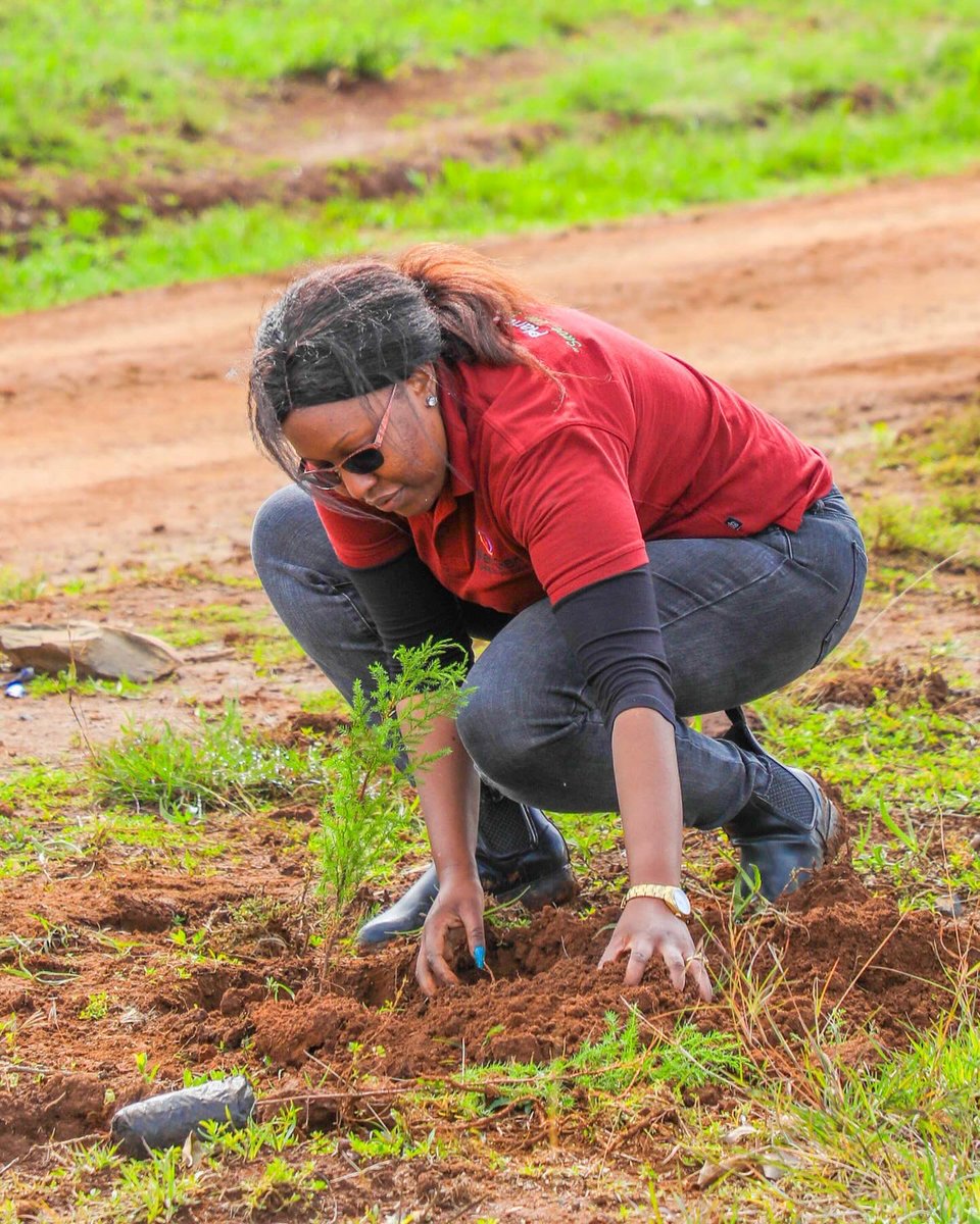 JudithMbogo's tweet photo. I contributed to the #jazamiti obligation together with the @EnergyMinK and its parastatals at Ontulili Forest in Meru County, during the National Tree Planting day. 

By being part of this cause, I hope to inspire others to join and help conserve and safeguard our Mother Nature. https://t.co/7dl9uvL5eW