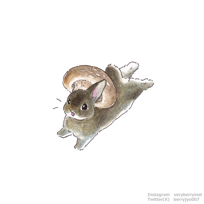 ナンチャッテうさぎさんきのこむむ茸むむ君の香りがするきのこうさ吸いすると速く走れる…かも?!きのこシリーズもあと2日グッズになるのもお楽しみに 