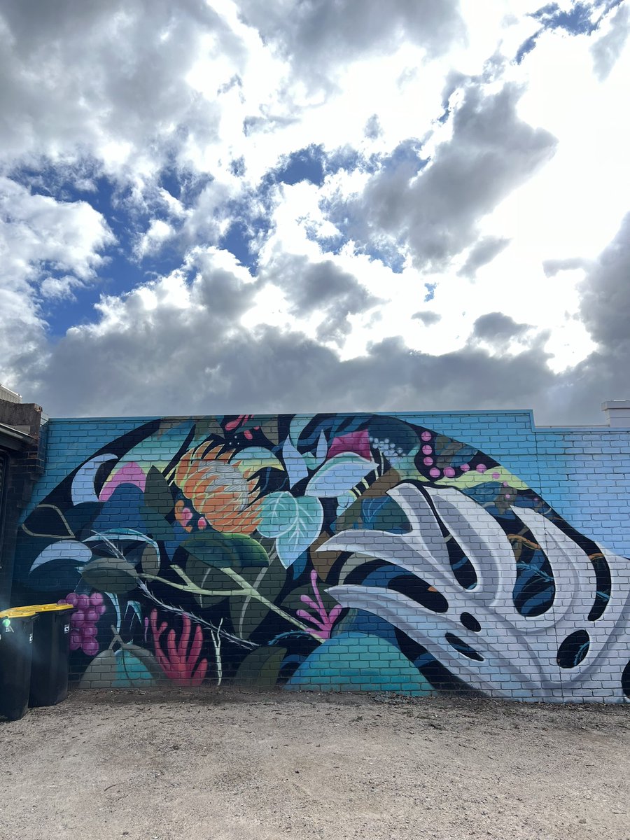 Artist @ellestreetart 
For @walltowallfestival #benalla #australia 

#ellestreetart
 
#walltowallfestival #benallastreetart #streetartaustralia #australiastreetart #australianstreetart #streetart #streetartphotography #streetphotography #mural #murals #murales