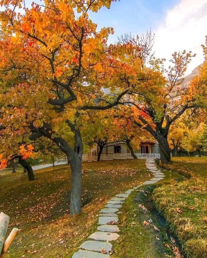 SadafHunzai's tweet photo. Colors of Autumn 🍁 Hunza Valley, Gilgit Baltistan, Pakistan .
#Hunza #gilgitbaltistan #Hunza #hunzatour https://t.co/1zmZR2yDMZ