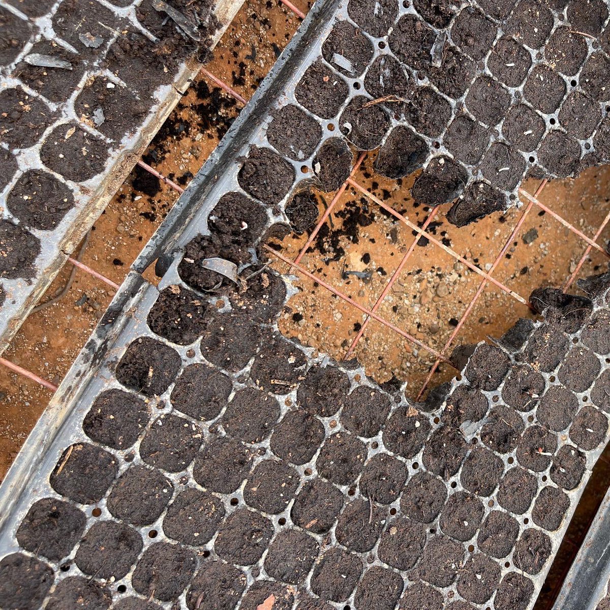 Hakuna kazi isiyo na changamoto. Ilibidi kutumia sumu kuwamaliza maadui. Trays 3 zimeharibiwa🇹🇿