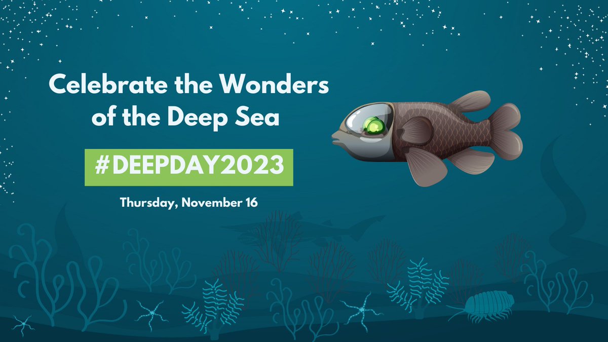 This #DeepDay we’re thanking those who are amplifying the concerns around #DeepSeaMining!🇫🇷🇩🇪🇪🇸🇨🇷🇵🇦🇪🇨🇳🇿🇼🇸🇫🇯🇨🇱🇫🇲🇵🇼🇻🇺🇩🇴🇨🇭🇸🇪🇮🇪🇨🇦🇧🇷🇫🇮🇵🇹🇲🇨 have all called for either a ban, pause or moratorium. Learn more about the threat of deep-sea mining: savethehighseas.org/isa-tracker/ #DefendTheDeep