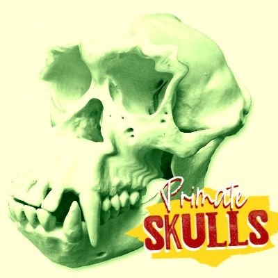 bianca dantas tweet media