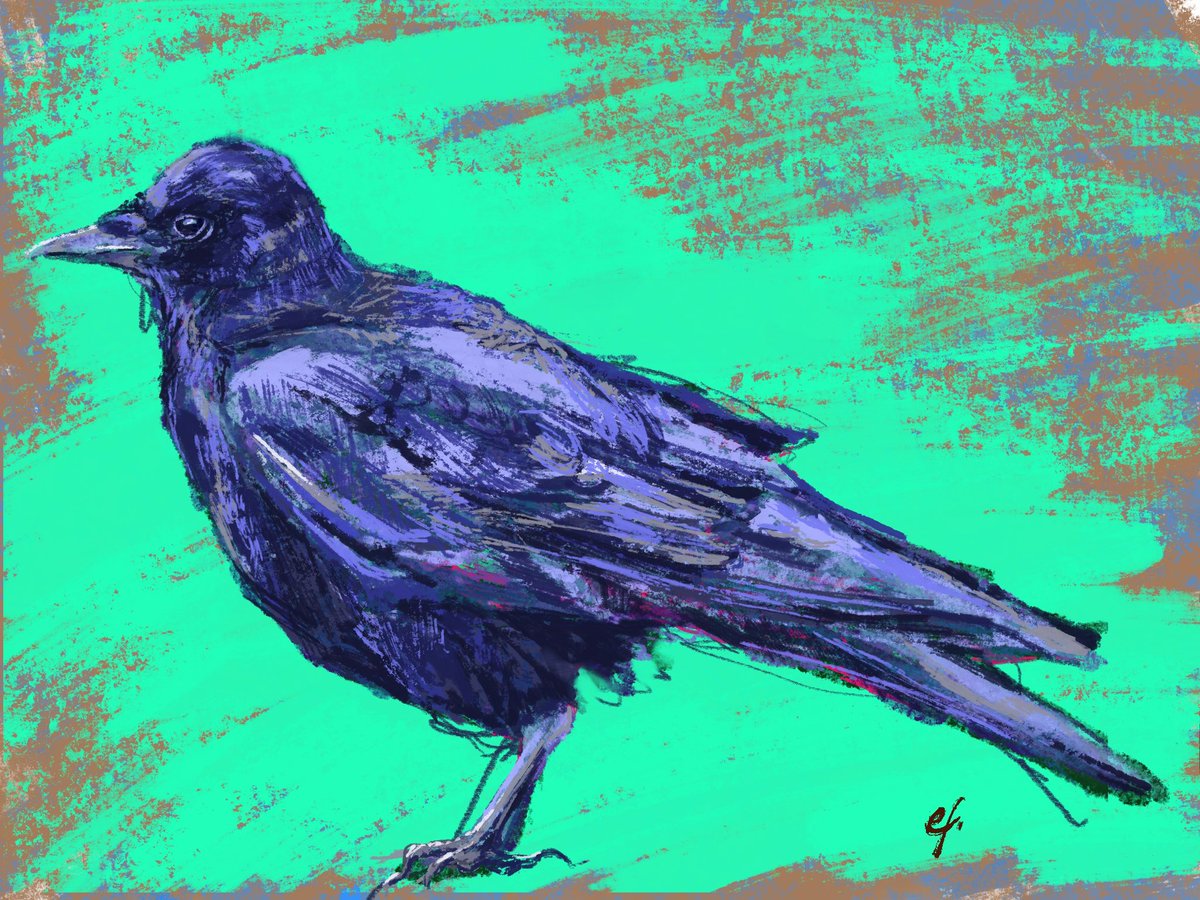 🐦‍⬛ .
#Procreate #プロクリエイト #Art #DigitalArt #drawing #絵描きさんと繋がりたい #冬の創作クラスタフォロー祭り