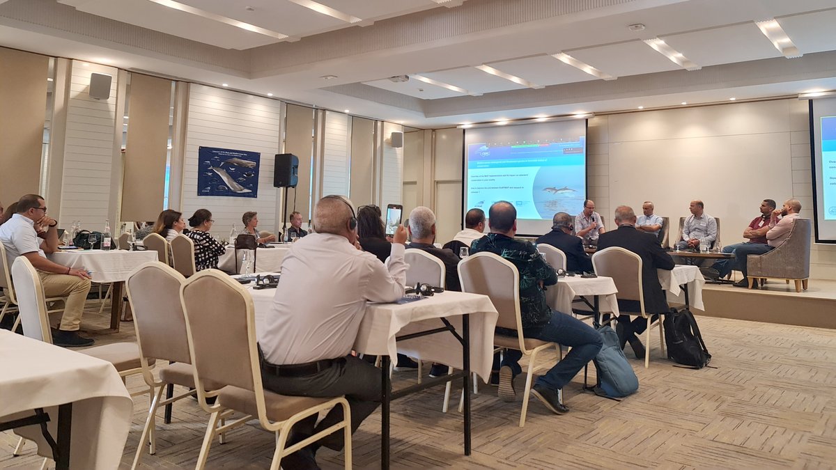 At CSMC6, SPA/RAC hosted a side event focusing on sharing EcAp MED III project successes and best #IMAP practices, bridging the research-IMAP implementation gap, and advocating for interdisciplinary collaboration in understanding #cetacean ecosystems. #BarcelonaConvention