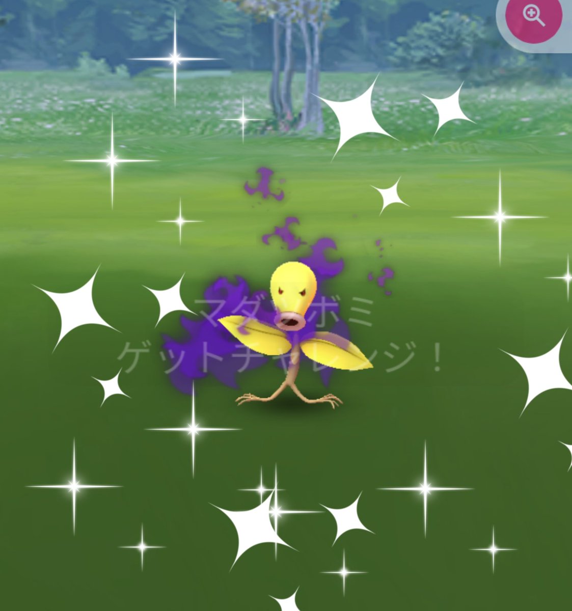 pecopecoyoppe's tweet photo. スクショ下手くそやけんしょうがないやんっ？？🤗
#アルロ
#ポケモンGO
#しゃどういろち https://t.co/ruqlhO18HK