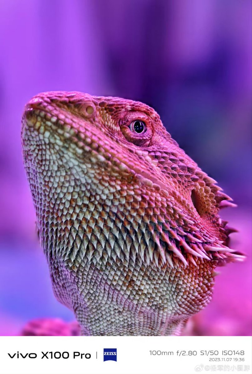 That_Kartikey's tweet photo. 📸 Vivo X100 Pro https://t.co/WhDQcyywpS