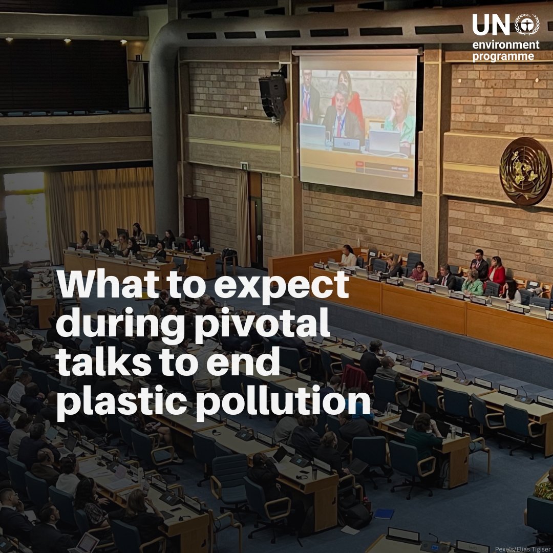 In the face of the growing plastic crisis, the international community is gathering in Nairobi this week for negotiations on a global #PlasticsTreaty to #BeatPlasticPollution.

Here’s what to expect: bit.ly/3MDDZVZ  #INC3