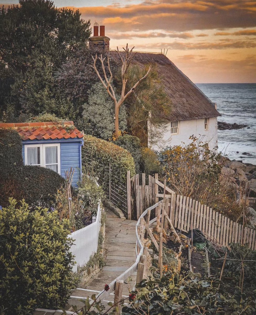 Good morning North Yorkshire 

📍 Runswick Bay

📸 IG/adve_enturesinyorkshire