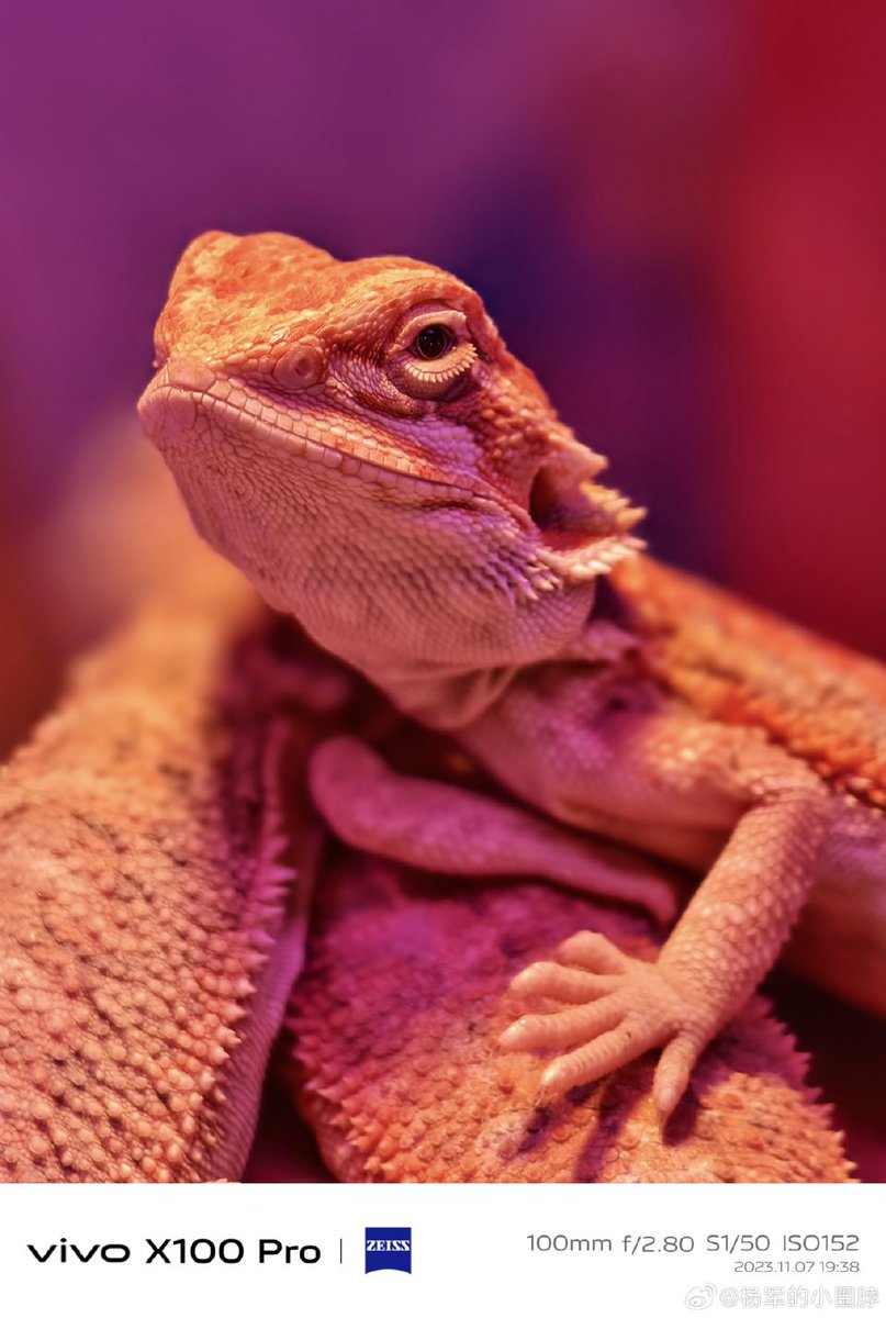 That_Kartikey's tweet photo. 📸 Vivo X100 Pro https://t.co/WhDQcyywpS