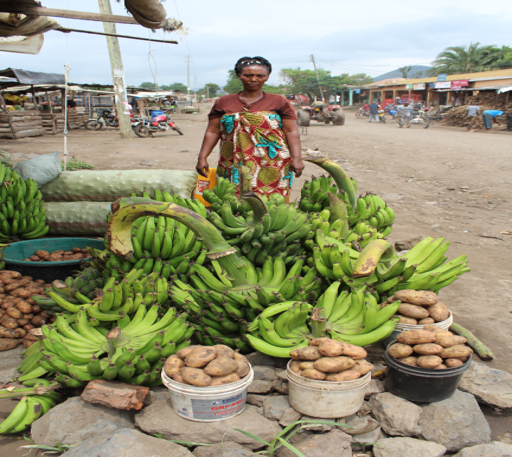 HandinHandTZ's tweet photo. Meet Salome melkezedeck kaaya. 49-year-old mother of four who lives in the Kikati Ward Arusha with her husband. She is an entrepreneur who used to earn Tsh 50,000 per month before acquiring #HIHEA-TZ enterprise training, and she now earns Tsh 75,000 to Tsh 100,000 per month. https://t.co/mVoArpCwY2