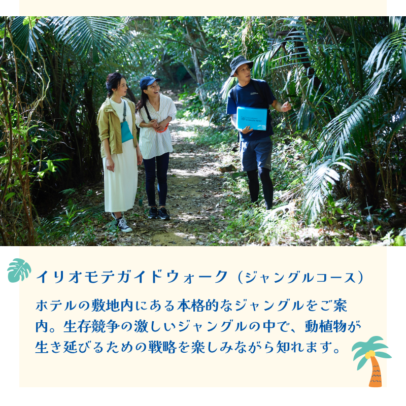 RakutenTravelJP's tweet photo. ／
冬こそ沖縄😎❄
沖縄離島旅キャンペーン第2弾✨
＼

「星野リゾート 西表島ホテル」の2泊分無料宿泊券が1組2名様に当たる🏖

応募の条件は、
1️⃣ @RakutenTravelJP をフォロー
2️⃣ このポストを「リポスト」

さらに #冬こそ沖縄 をつけて冬の沖縄で楽しみたいことをつぶやくと当選率UP💖

続く👇