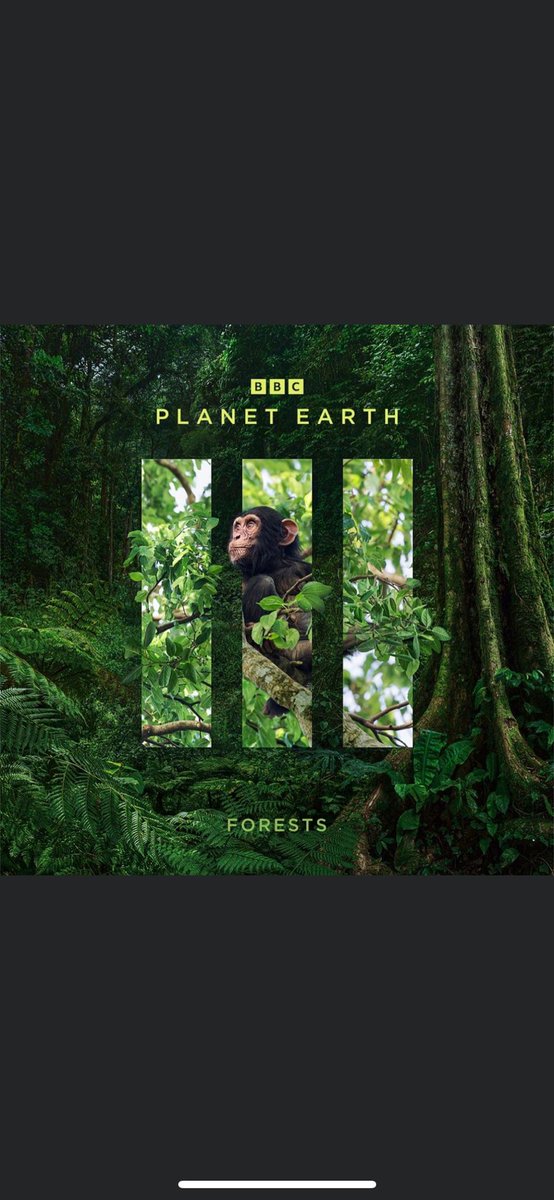 SAVE THE DATE: Sunday 19th Nov! The <a href="/BulindiChimps/">Bulindi Chimpanzees</a> feature in the Forests episode of the fabulous <a href="/BBCEarth/">BBC Earth</a> #PlanetEarth3 series. The episode airs in the US on 2 December (not sure about elsewhere in Europe yet). The footage of the chimps is stunning. Not to be missed! 🐵