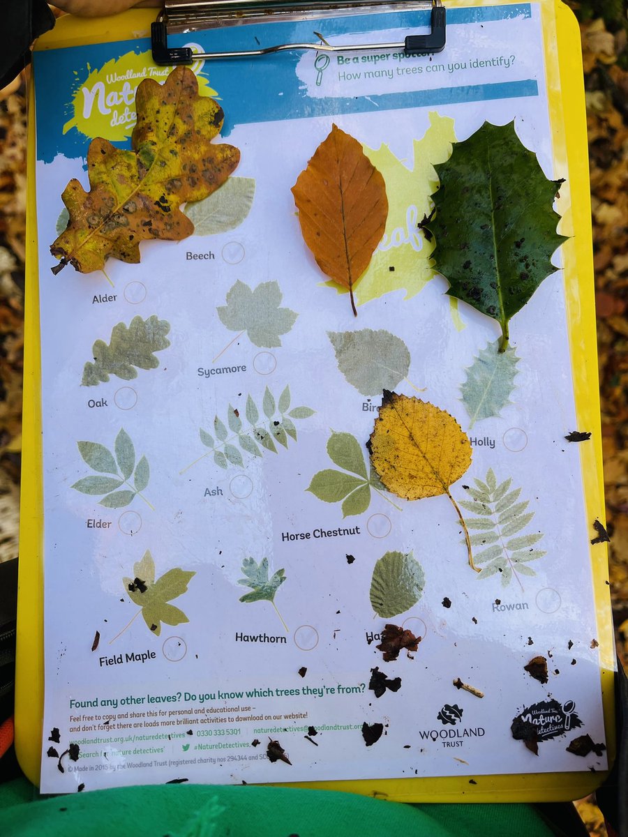 wildsidenat's tweet photo. More great #outdoorlearning with the #nurturegroups from @Cuiken_Primary last week! We focused on the #trees in our #woodlandclass, identifying them from their leaves & bark. We learnt why leaves change colour & fall in the #Autumn & made some ace #andygoldsworthy inspired art!๐ https://t.co/w4PKOQNRgr