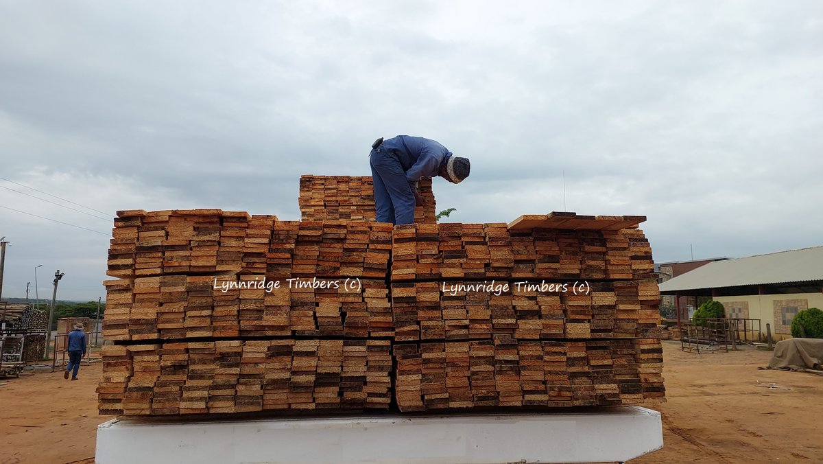 Exciting news at Lynnridge Timbers: Fresh stock of wet-off-saw planks has just arrived! We offer a variety of sizes, including 19x76, 19x102, and 25x114. For pricing and additional details, please visit our website. (Link available in Bio)
#timber #woodplanks #lumber #woodstore