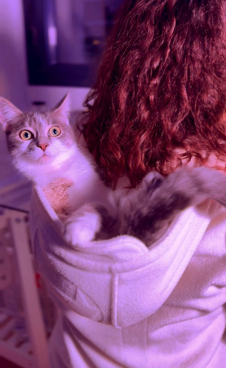 anajsana95's tweet image. Git push -u origin tabby 🐱

#FrontEndMaster nights 🌙 #Css #javascript