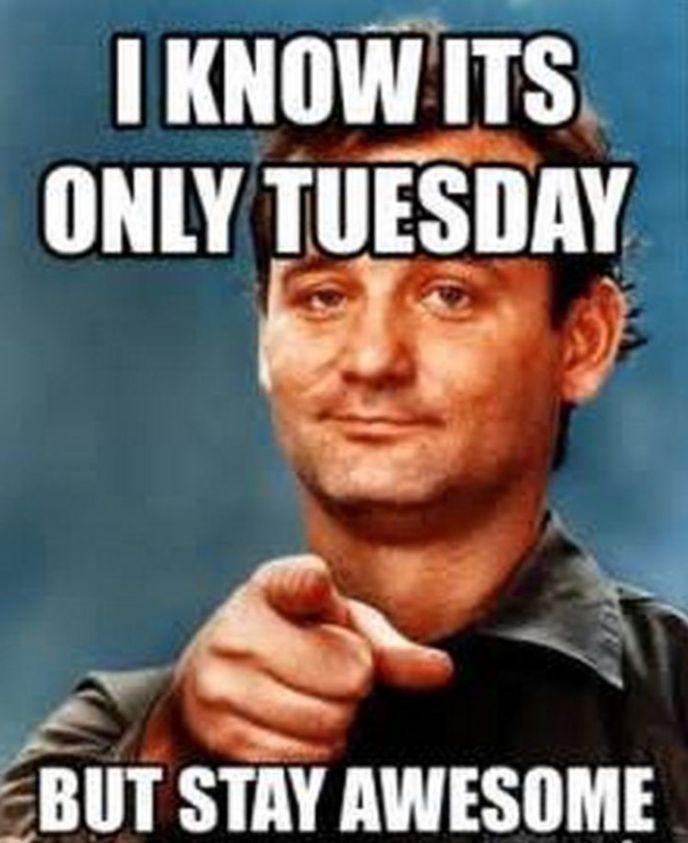 RUN OF A KIND. (@runofakind) on Twitter photo 