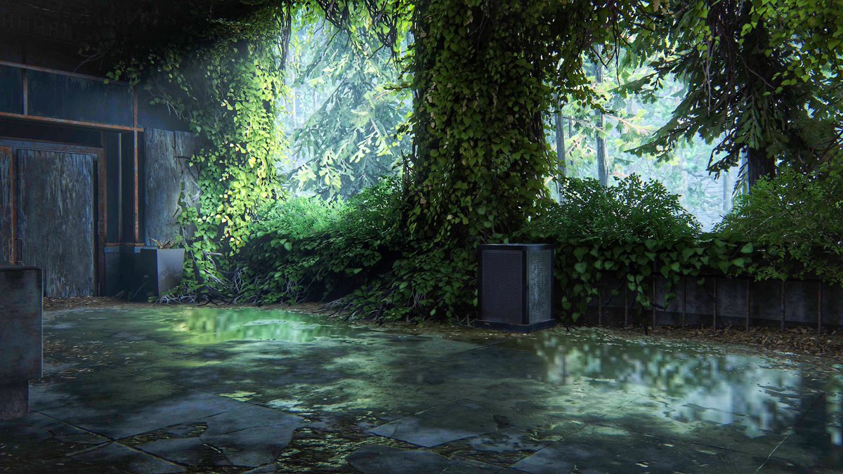 Chris25551's tweet photo. The Last of Us Part II https://t.co/xfq4wDjqX3