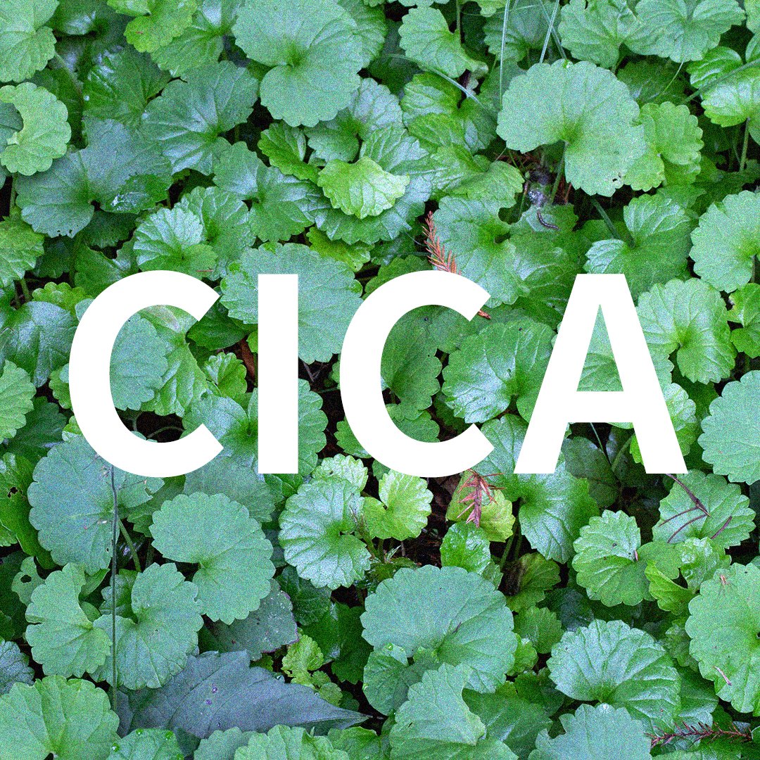 アクネスラボ／ACNESLABO tweet media