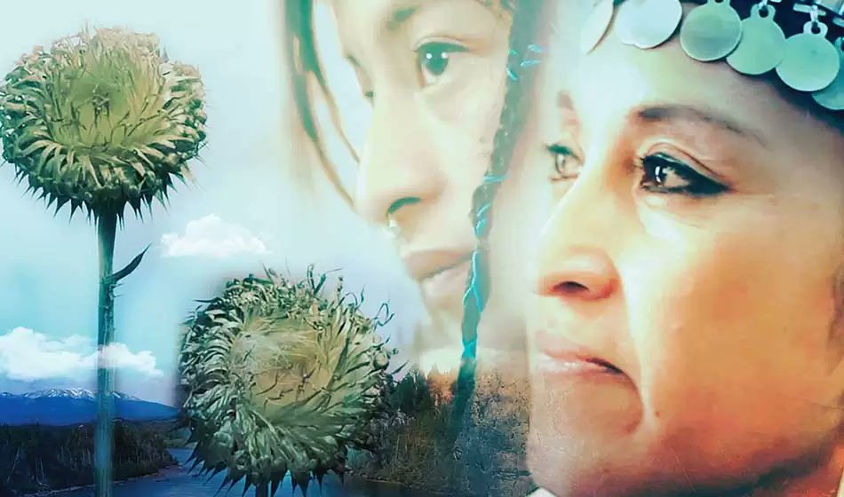 ✿ Don't miss "La Rebelión de las Flores", next MON!

Brought to you in collaboration with <a href="/FestivalFILMAR/">Festival FILMAR</a>, <a href="/lani_IHEID/">GISA LANI</a> &amp; the #Diversity, #Equity &amp; #Inclusion Initiative.

✊ Discover the story of 23 #indigenouswomen who protested against #Argentina's exploitation of their lands.