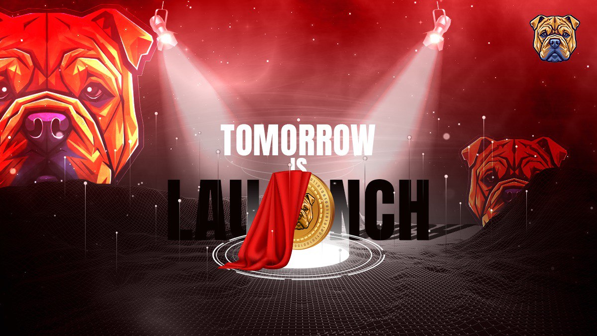shartoken's tweet photo. 📅 TOMORROW is the big day! 

In just 1 more day, #SharPei will officially launch on Ethereum. 

Are you excited to be a part of this incredible journey?

 🌐 https://t.co/Upoev6RTJ3

#Ethereum #Meme #Memecoin #Dogseason https://t.co/Yccwd9aNJg