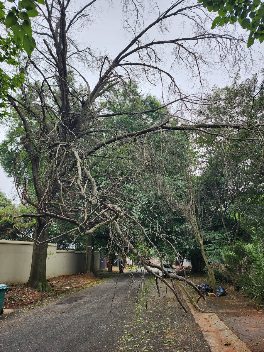 TreeWorks 0118848088 tweet media