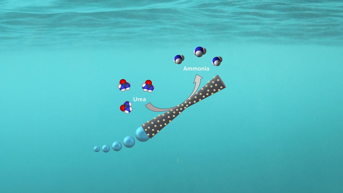 Bubbeldrivna mikromotorer. Det låter som något från Willy Wonkas chokladfabrik, men är en ny form av vattenrening som utvecklats i ett samarbete mellan spanska forskare och <a href="/goteborgsuni/">Göteborgs universitet / University of Gothenburg</a>. I processen skapas även en ren energikälla. <a href="/FysikGU/">Fysik vid Göteborgs universitet</a> <a href="/harshi_b7/">Harshith Bachimanchi</a> 
shorturl.at/cmstK