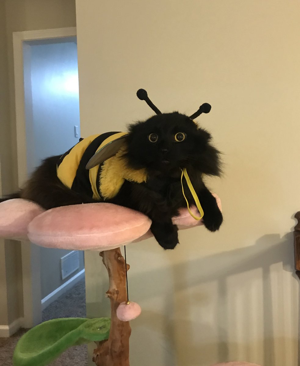 Bee Network Official tweet media