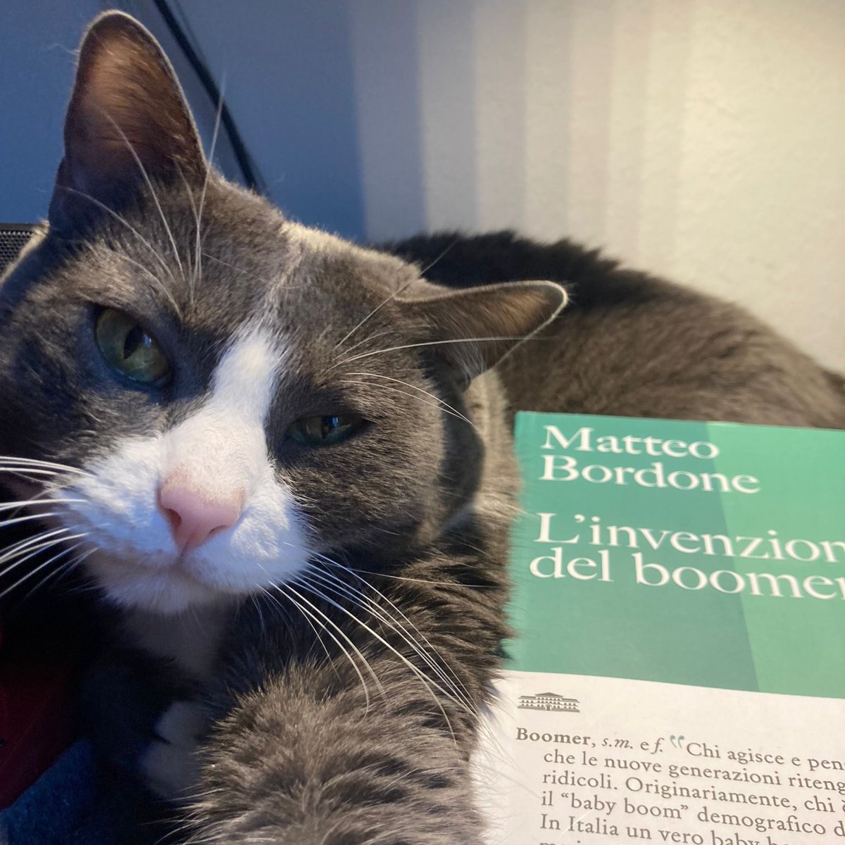 Toshiro ed Esther hanno incontrato “L’invenzione del boomer” in libreria. Oggi arriva sugli scaffali un nuovo volume della collana Alfabeto Utet, scritto da Matteo Bordone (@matteobordone) e dedicato a una parola su cui si gioca uno scontro generazionale: boomer.