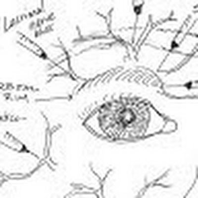 nickole collin tweet media