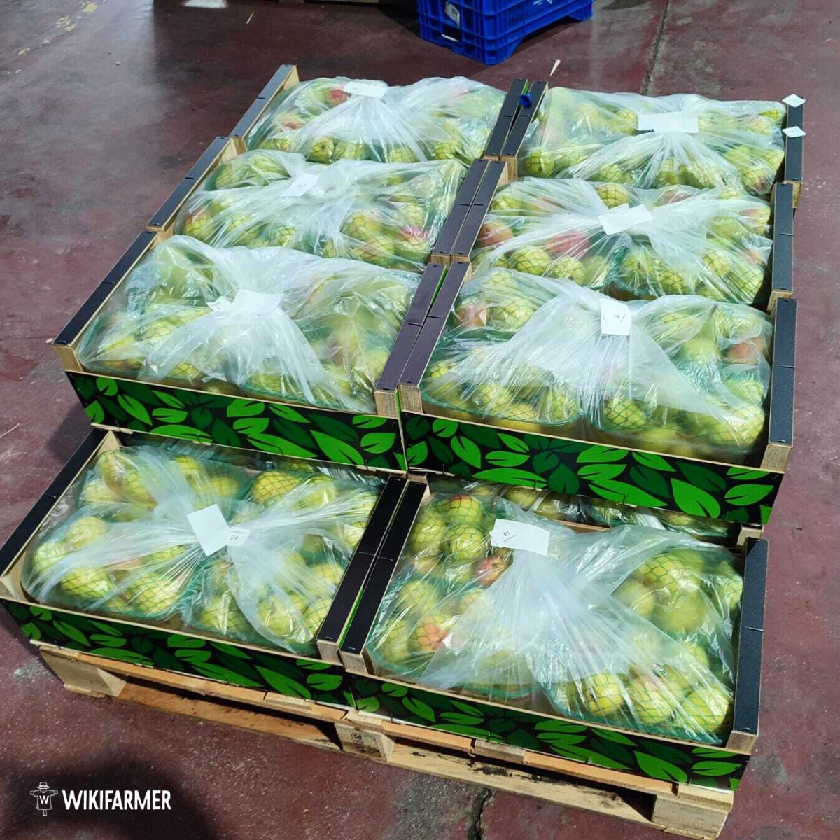 Wikifarmer Official tweet media