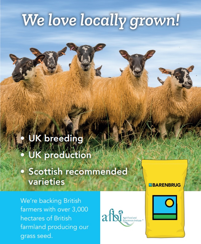 BarenbrugUK's tweet photo. Not long to go! Join us at @AgriScot next week and drop by stand 128 to discuss all your grassland needs 🌱
#agriscot23 #growyourfuturewithgrass #grazing #silage #grassclinic #ForageforKnowledge #MultiSpeciesSward #UKGrassExperts https://t.co/3zoKaog4kO