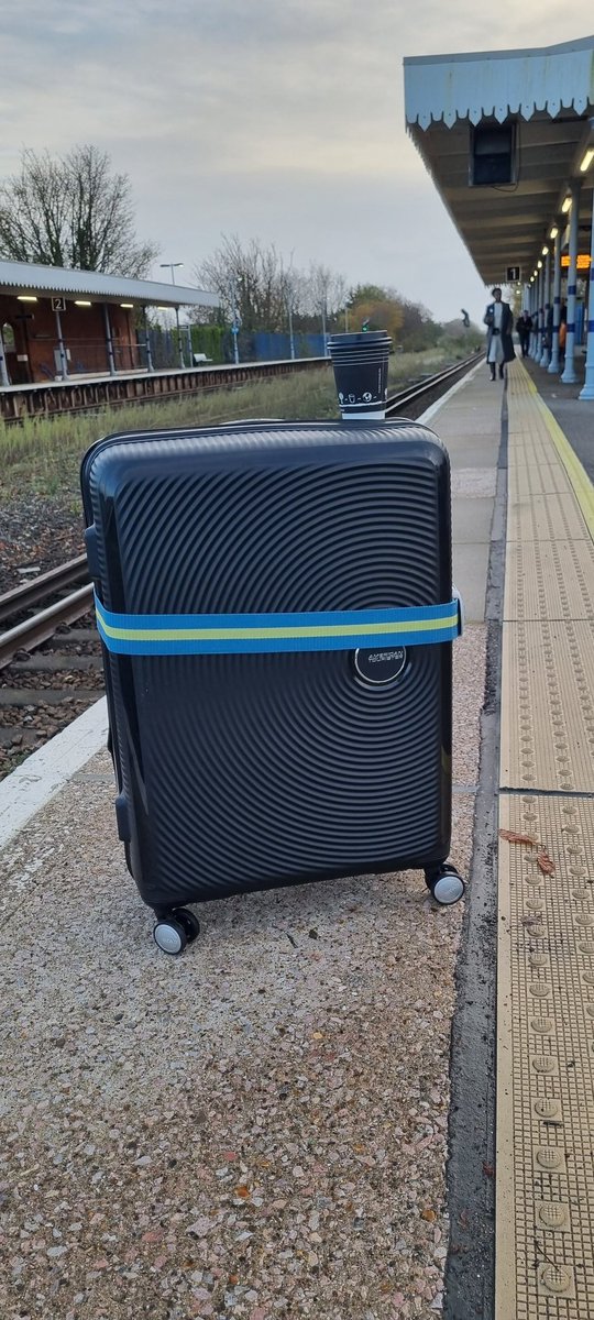 thequokkagroup tweet media