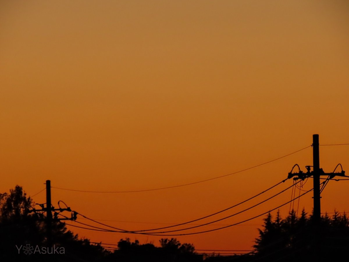 yumeasutw's tweet photo. 穏やかな夕暮れ🌆

お疲れ様です🏁
晴れ渡る雲がない #夕暮れ
西の彼方は深いオレンジに🟧
薄紫から青色へ束の間の
色の移ろいに癒されて🟪🟦

#夕空 #夕焼け #鉄塔 #電柱 #電線
#マジックアワー #薄明
#ブルーモーメント #ブルーアワー
#空の名前
#気象のはなし #天気の図鑑
#a2023  #a1114 #a202311 https://t.co/aFEBmCRRRI