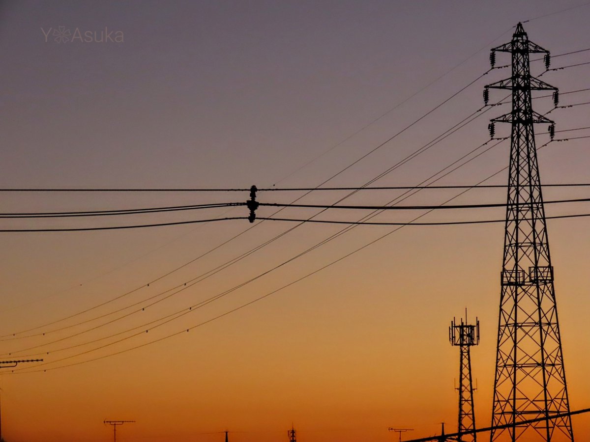 yumeasutw's tweet photo. 穏やかな夕暮れ🌆

お疲れ様です🏁
晴れ渡る雲がない #夕暮れ
西の彼方は深いオレンジに🟧
薄紫から青色へ束の間の
色の移ろいに癒されて🟪🟦

#夕空 #夕焼け #鉄塔 #電柱 #電線
#マジックアワー #薄明
#ブルーモーメント #ブルーアワー
#空の名前
#気象のはなし #天気の図鑑
#a2023  #a1114 #a202311 https://t.co/aFEBmCRRRI